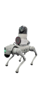 Robot chó tuần tra AI