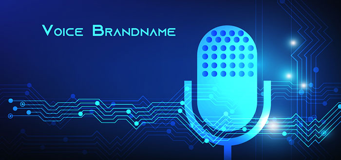 Voice Brandname - Cuộc gọi định danh nâng tầm cạnh tranh 